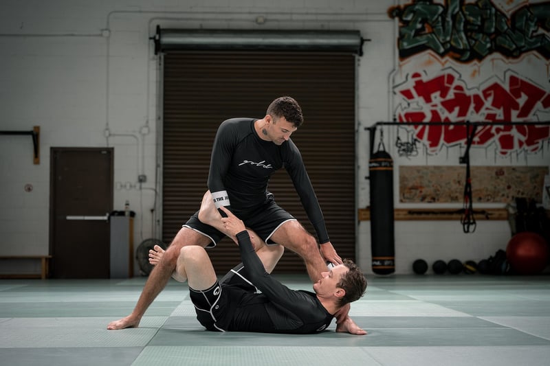 Jiu-jitsu techniques
