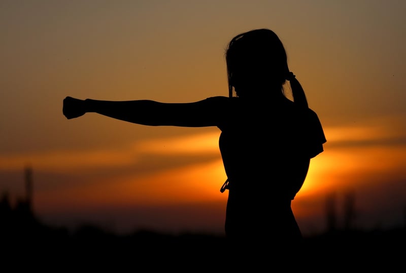 Martial arts roots