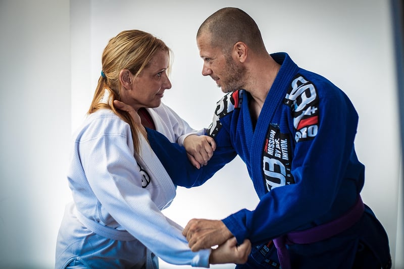 Jiu-jitsu Training